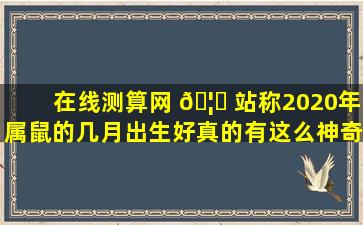 在线测算网 🦈 站称2020年属鼠的几月出生好真的有这么神奇吗